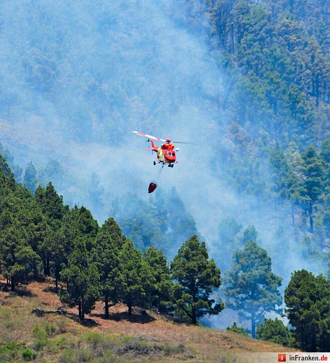 Waldbrand auf der Kanarischen Insel
