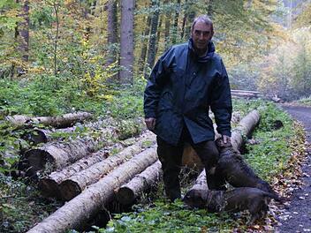 So kennt man den Eltmanner Stadtförster Joachim Fischer: In seinem geliebten Wald, begleitet von den Dackeln Holle und Jule.