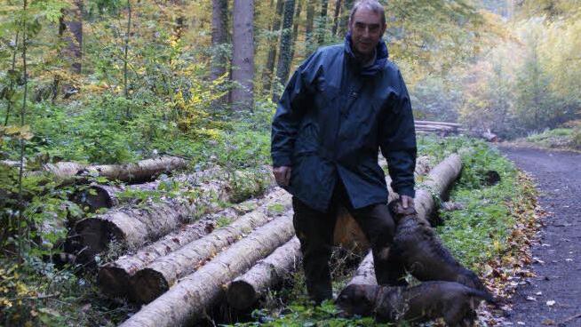 So kennt man den Eltmanner Stadtförster Joachim Fischer: In seinem geliebten Wald, begleitet von den Dackeln Holle und Jule.