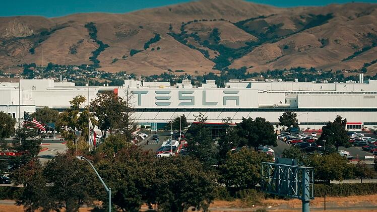 Der amerikanische Autobauer Tesla sorgt seit Jahren f&uuml;r hohe Gewinne - und starke Kontroversen.
