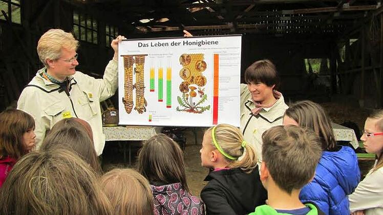 Foto: Karin Rinck