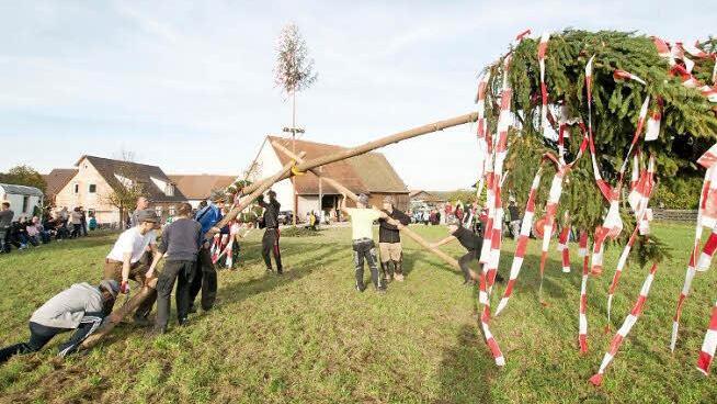 Der Nachwuchs hatte seinen Baum schon aufgestellt, dann waren die Großen dran. Foto: Roland Meister