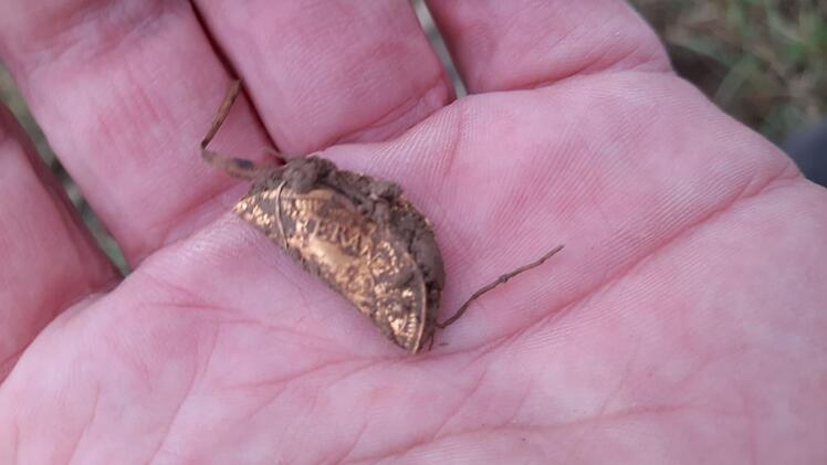 Eußenheim: Drei Schatzfunde innerhalb kürzester Zeit - "kurios"