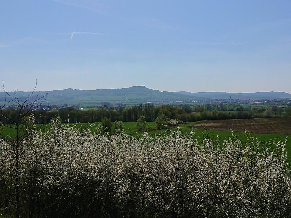 Die schönsten Fotos im April aus Lichtenfels und Umgebung