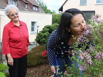 Der Zwergflieder gehört zu Annemarie heidenreichs Lieblingen im Garten. Nach einem Schnuppertest weiß Rundschau-Redakteurin Dagmar Besand, warum das so ist. Foto: Barbara Herbst
