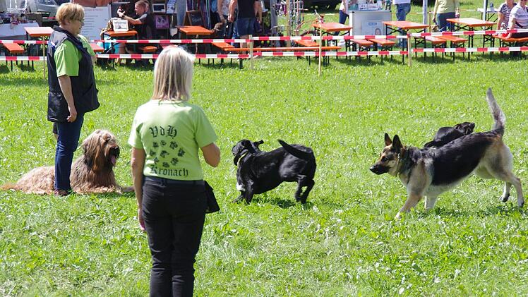 Tierheimfest in Kronach. Foto: Marco Meißner