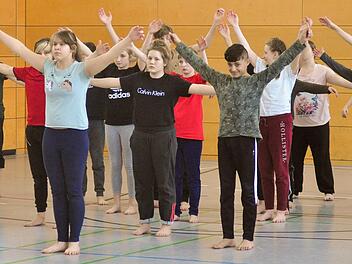 Eine besondere Schulwoche erlebte die Klasse 7a der Mittelschule Haßfurt mit dem bekannten Choreographen Alan Brooks, der im Rahmen des Projekts "Schultanz in Bayern" mit den Schülerinnen und Schülern arbeitete. Fotos: Sabine Weinbeer