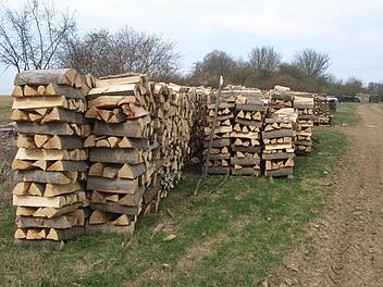 Oberfranken: Brennholz-Dieb auf Wildtier-Kamera aufgezeichnet