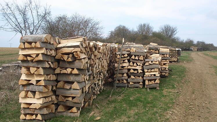 Wegen der Corona-Situation gibt es heuer keine Brennholzversteigerung, verkauft wird das Holz direkt.  Symbolbild: Stefan Geiger/Archiv