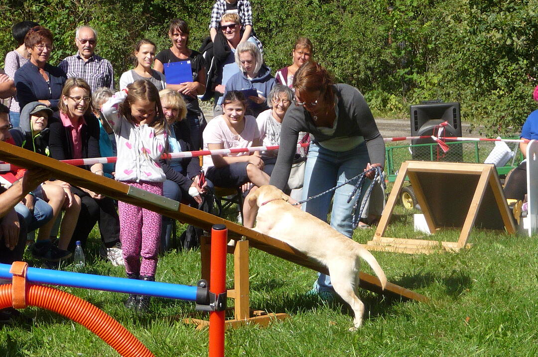 19.8.2017 Tierheimfest Kulmbach