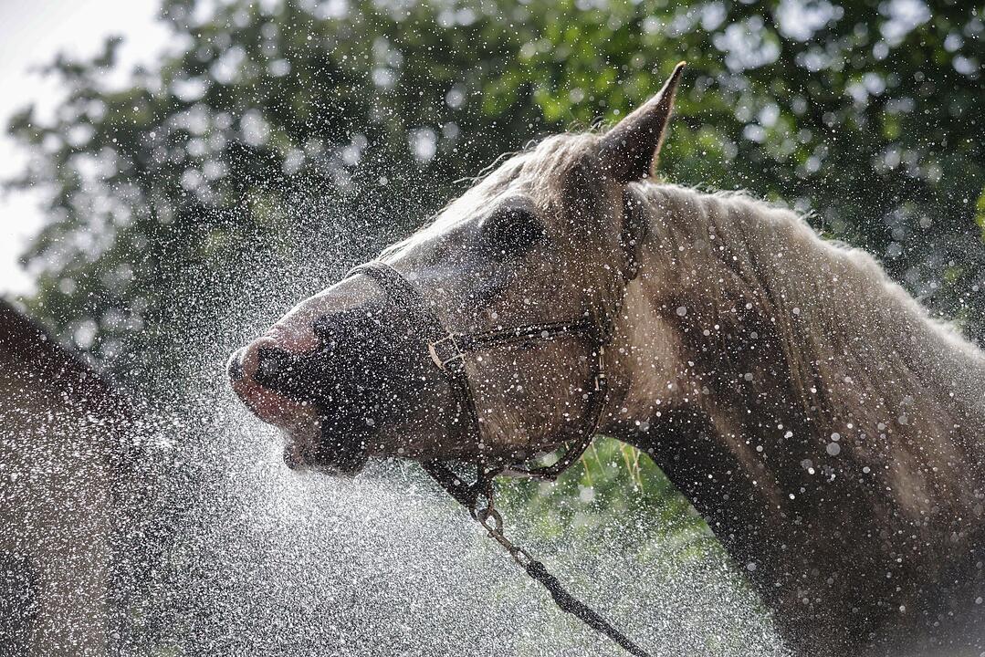 Wetter in Baden-W&uuml;rttemberg