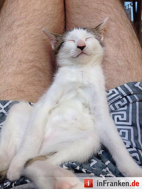 Foto: Jacquelin Riedel