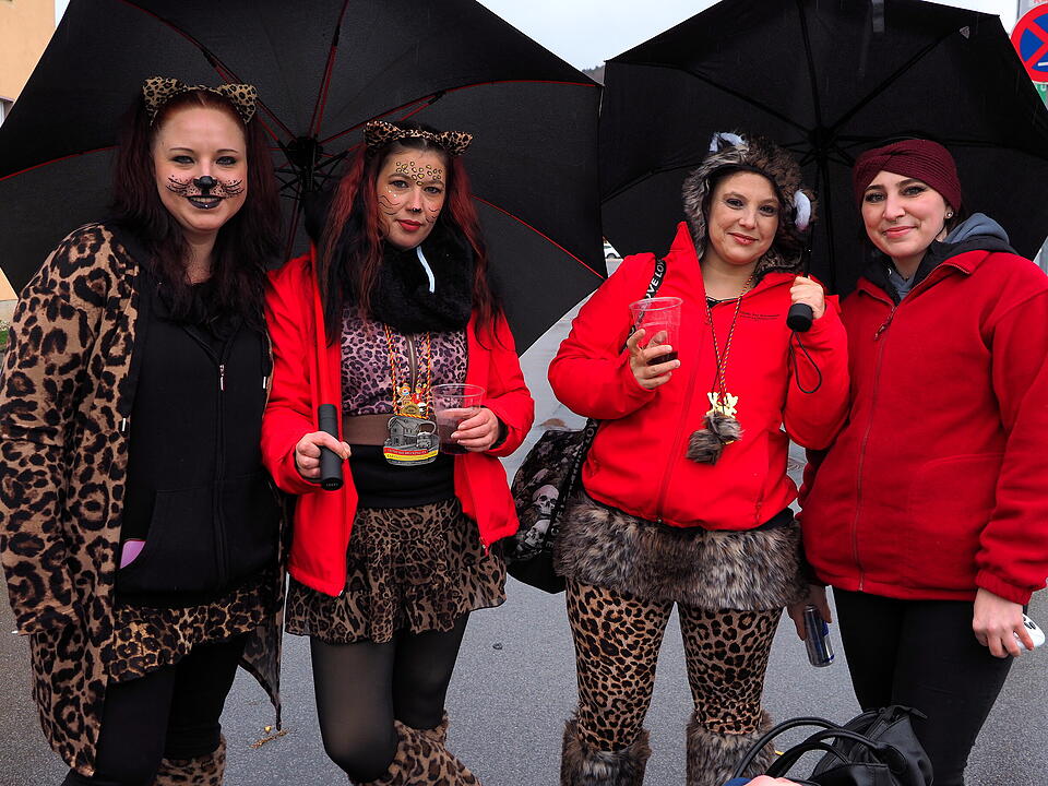 Bad Br&uuml;ckenau feiert Fasching!