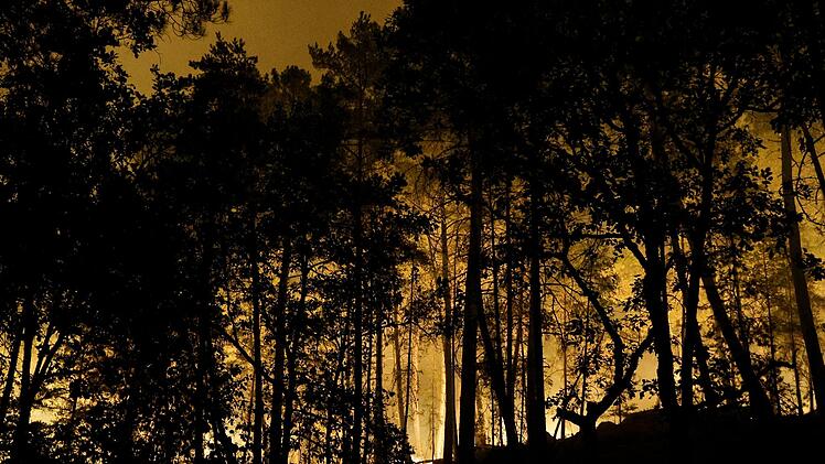 Feuer im Wald von Fontainebleau