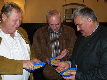 Genau nahmen (von links) Friedrich Stöcklein und Reinhold Dister aus Heiligenstadt sowie Karl-Heinz Opel aus Neufang die Braugerstenmuster bei der Schau in Kulmbach unter die Lupe. Die Qualität war gut, die Preise könnten besser sein. Foto: Klaus Peter Wulf