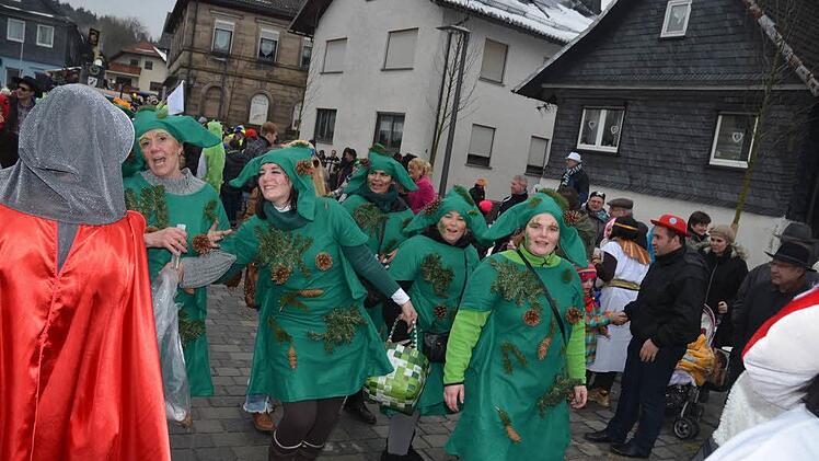 Die Rothenkirchener Narren. Foto: Hofmann