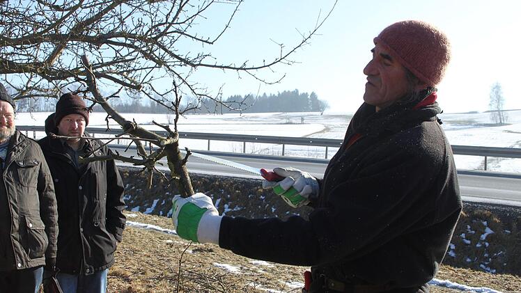 Impressionen vom Baumpflegekurs des Gartenbau-Kreisverbands KulmbachDagmar Besand