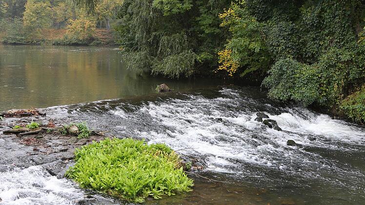 Der kleine  Wasserfall auf Höhe Am Zwinger/Klarissenweg soll 2013 für  Fische passierbar gemacht werden.