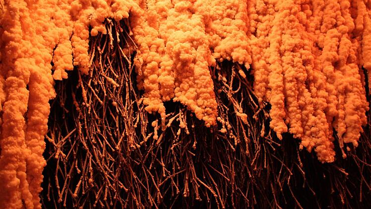 ...während einzelne Tropfen von der Saline rieseln.