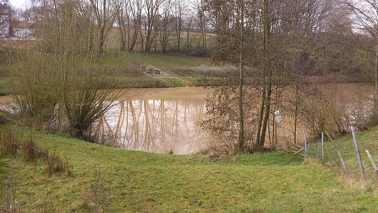 Idyllisch gelegen ist das Rückhaltebecken am Weingartsgraben. Foto: Andreas Dorsch