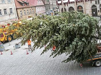 Unter Polizeischutz kommt die Tanne auf dem Rathausplatz an. Foto: Josef Hofbauer