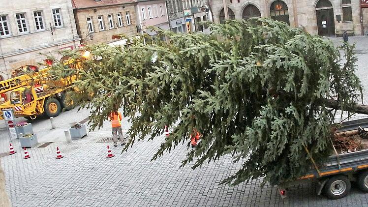 Unter Polizeischutz kommt die Tanne auf dem Rathausplatz an. Foto: Josef Hofbauer