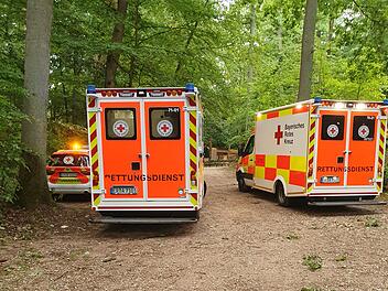 Neuhaus: Baum st&uuml;rzt auf vollbesetzten Felsenkeller - zwei Verletzte