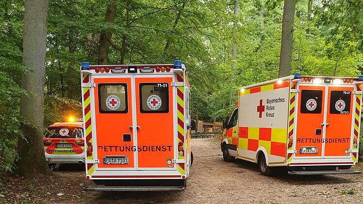 Neuhaus: Baum st&uuml;rzt auf vollbesetzten Felsenkeller - zwei Verletzte