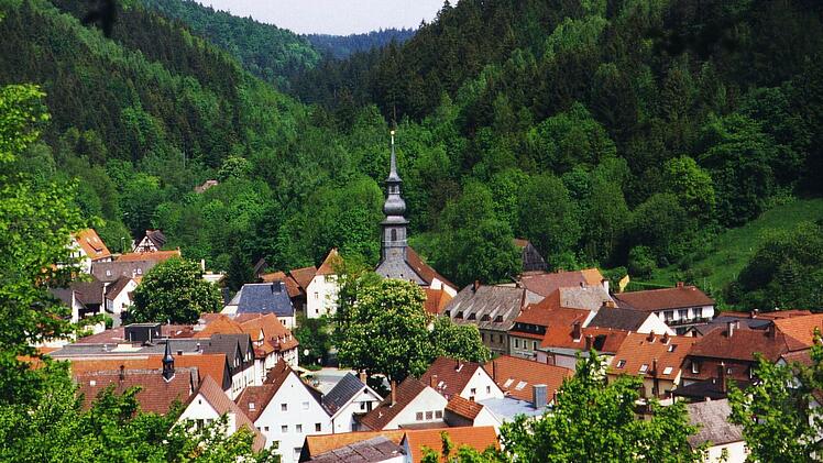 Die gute Luft ist seit Generationen ein wichtiges Kapital f&uuml;r den Luftkurort Wirsberg. Nun soll ein neues touristische Konzept auch bei einer jungen Zielgruppe Interesse wecken.  Foto: Archiv/privat