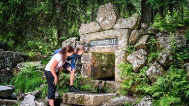 Für Jung und Alt ein Erlebnis: Die Wanderwege zur Weißmainquelle am Ochsenkopf. Foto: Tourismuszentrale Fichtelgebirge/Florian Trykowski