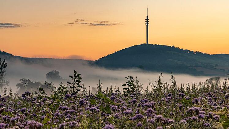 Foto: Ralf Bauer