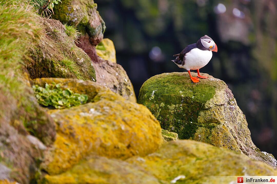 Bilder aus Island
