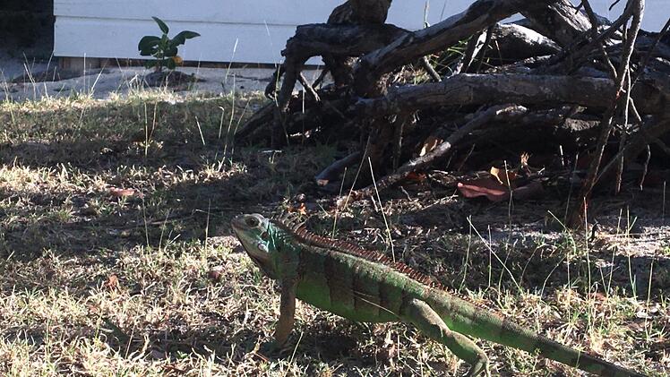 Ihr Beruf führt sie zu Traumzielen. Foto: Eunike Schu