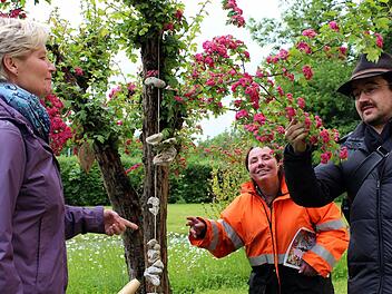 Im Schlosspark gibt es für Andrea Büttner, Gisela Schüttler und Franz Hildebrand interessante Pflanzen zu entdecken. Foto: Peter Pfannes