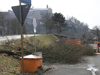 Die Baumfällung an der Berliner Brücke war auch Thema bei der Jahresbilanz der Kreisgruppe Kulmbach des Bund Naturschutz.Stephan Tiroch