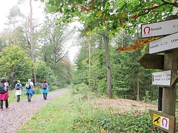 Ein Wandergruppe auf dem Veitenstein-Wanderweg Fotos: VGN(2)/Landratsamt(1)
