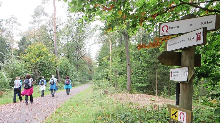 Ein Wandergruppe auf dem Veitenstein-Wanderweg Fotos: VGN(2)/Landratsamt(1)