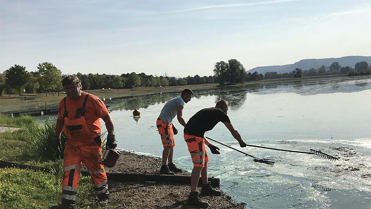 Erst wird gespritzt, dann gesaugt. Foto: Sonny Adam