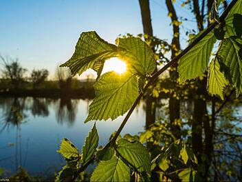 Die schönsten Frühlingsfotos aus Forchheim und Umgebung