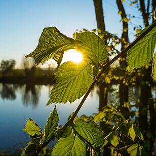 Die schönsten Frühlingsfotos aus Forchheim und Umgebung