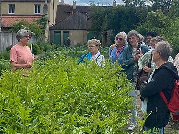 Fasziniert folgten die Ha&szlig;furter Besucher bei der F&uuml;hrung den Worten von Stephanie Ei&szlig;inger.