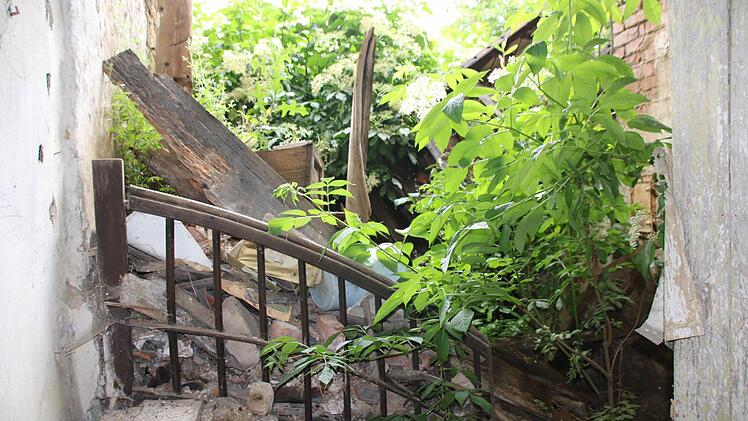 Es gibt viel zu tun. Foto: Heike Beudert