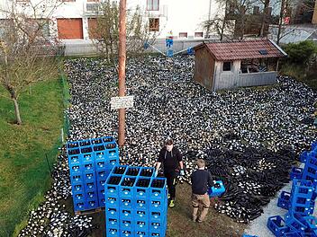 Mitglieder des Burschenvereins stapeln auf dem Grundst&uuml;ck eines Hauses Bierk&auml;sten und verteilen das Leergut im Garten. Zu sehen ist der Aufbau des kuriosen Hochzeitsgeschenks seit dem 05.06.2018 in einem Facebook-Video, das bereits &uuml;ber 80000 Aufrufe hat. Stundenlang hatten Hochzeitsg&auml;ste und Mitglieder des Grasbrunner Burschenvereins an der &laquo;&Uuml;berraschung&raquo; f&uuml;r das Hochzeitspaar gearbeitet. Die Kisten und Flaschen waren das Hochzeitsgeschenk der Vereinsmitglieder, rund 4000 Euro soll das Braut...