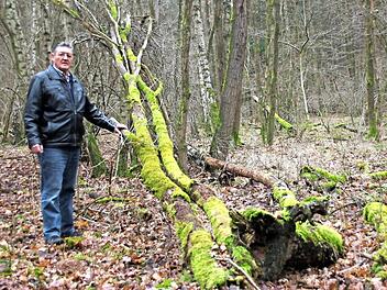 Ewald Kiesel bedauert, dass der Körperschaftswald in Haard weiterhin nicht gepflegt und genutzt wird. Immer mehr Totholz sammelt sich mittlerweile an.  Foto: Heike Beudert