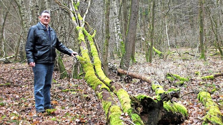 Ewald Kiesel bedauert, dass der Körperschaftswald in Haard weiterhin nicht gepflegt und genutzt wird. Immer mehr Totholz sammelt sich mittlerweile an.  Foto: Heike Beudert