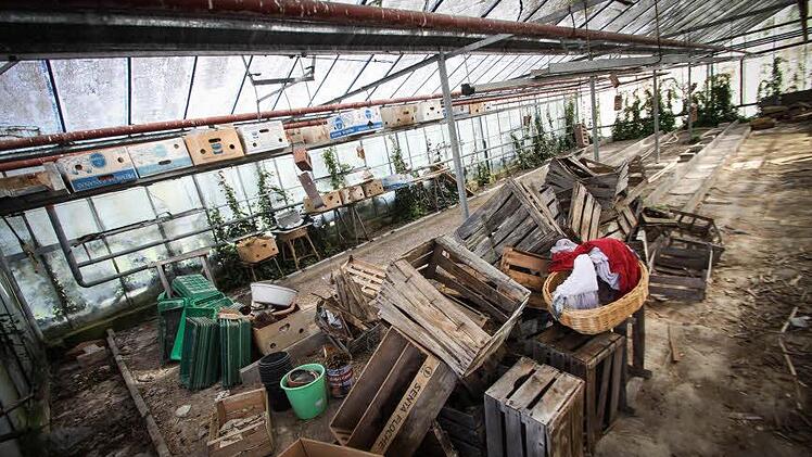 Auf dem Grundst&uuml;ck wurde fr&uuml;her eine G&auml;rtnerei betrieben. Foto: Steffens