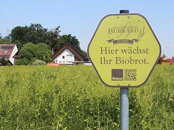 Bäckermeister Robert Burkard will auf seinem Grundstück seinen Betrieb erweitern. Foto: Franziska Rieger