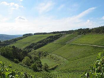 Das erste Mal im Programm: Eine Wanderung in den Weinbergen, im Juni, ohne Schnee.  Foto: Landratsamt