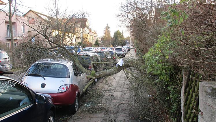 Sturmtief Friederike sorgte in Erlangen für 30 Einsätze der Feuerwehren. Bäume stürzten um, in einem Fall musste ein Gerüst gesichert werden. Foto: Feuerwehr Erlangen