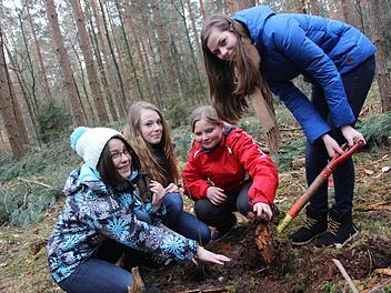 Die Schüler in Wiesentheid pflanzen sich ihren eigenen Wald. Fotos: Sabine Herteux